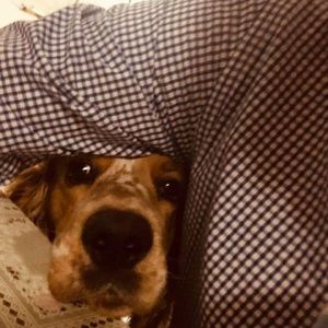 Meet your Posher, Omar